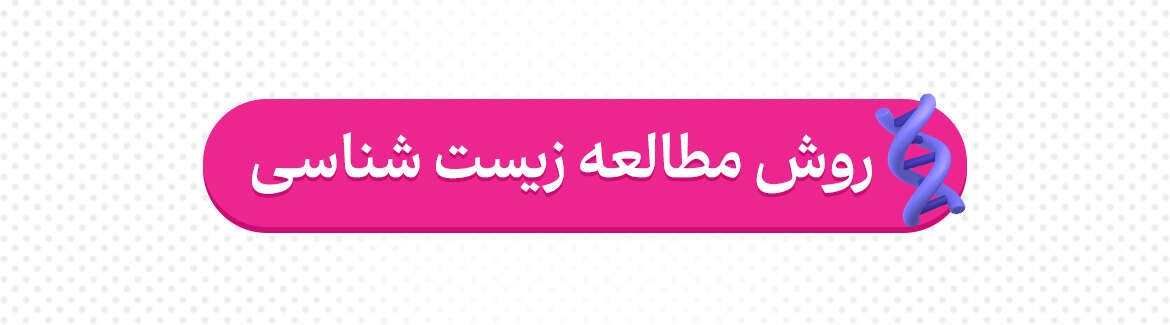 عکس خبر